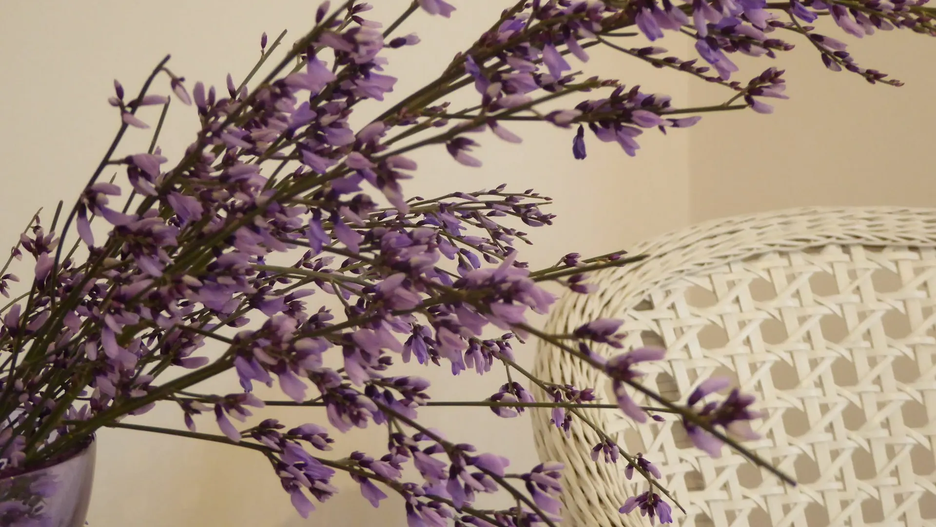 B&B Vista Sul Canal Grande Venice Bed & Breakfast