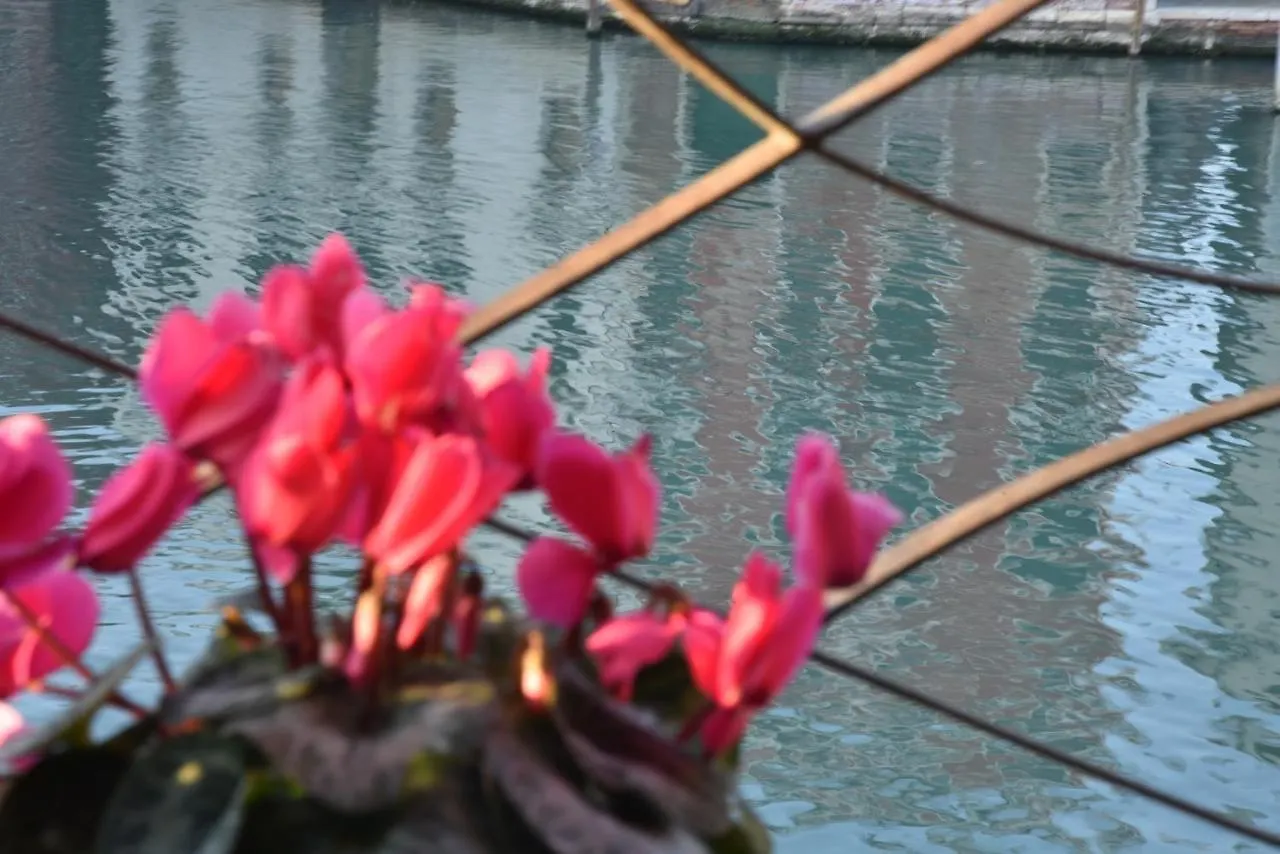 ** Bed & Breakfast B&B Vista Sul Canal Grande Venice Italy